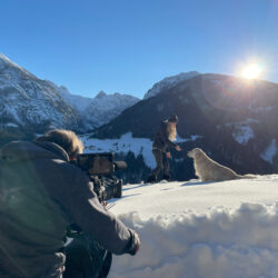 TV - Produktion am Berg