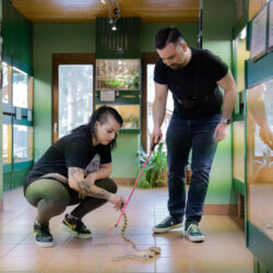 Reporter für Café Puls beim Reptilienzoo Nockalm, 2022